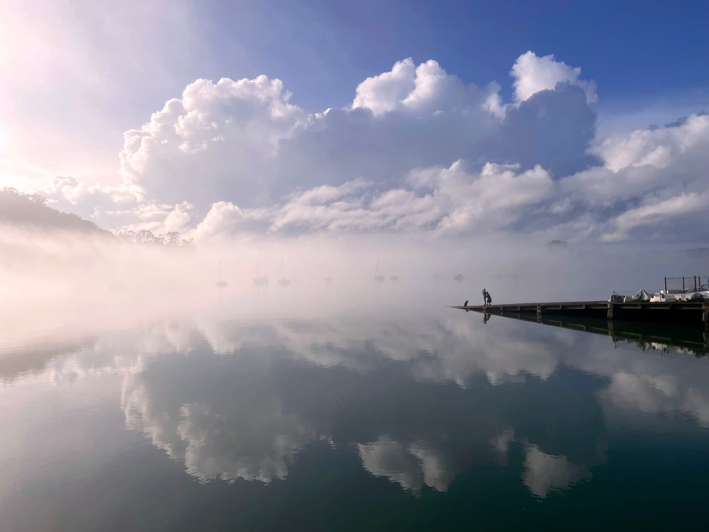 Good Dog (Hobsonville Point)